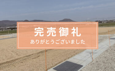 プラスタウン檀紙