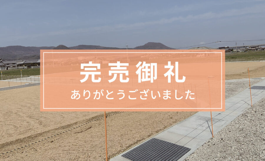 プラスタウン檀紙