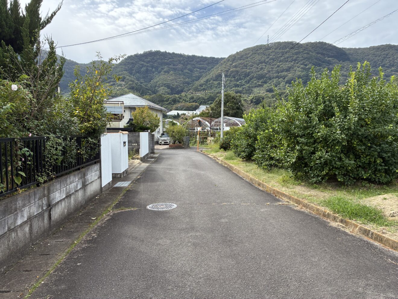 前面道路