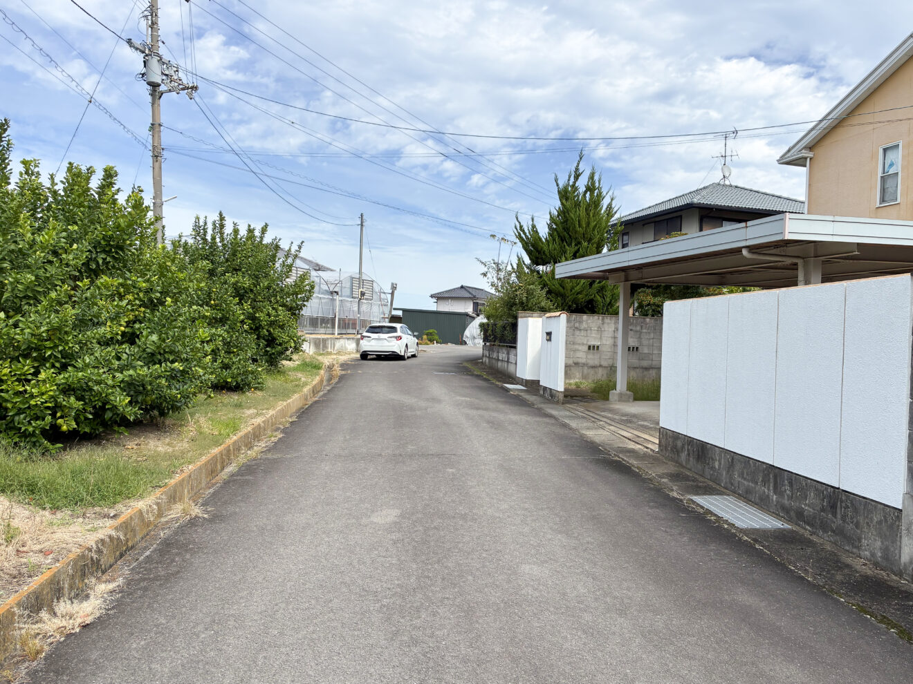前面道路