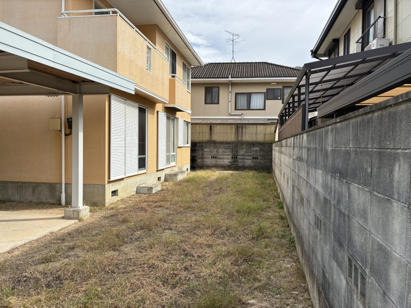 庭